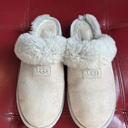 Ugg Cozy Slipper in Forest Night