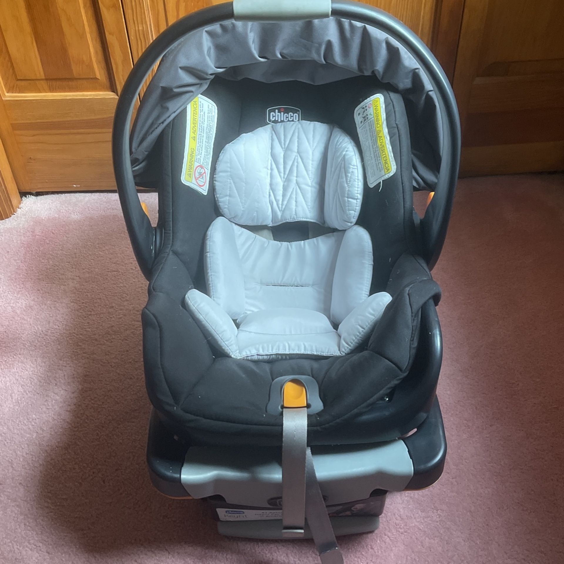Infant Car Seat And Carrier - 4 To 30 Pounds