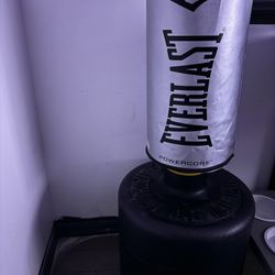 Everlast Punching Bag 