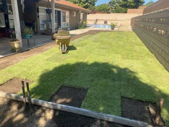 St. Augustine Sod For Sale