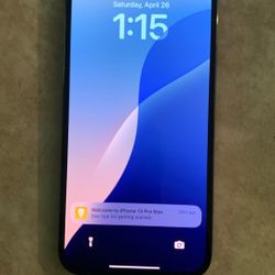 iPhone 13 Pro Max 128 Gb 