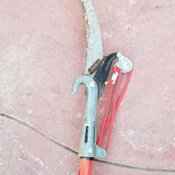Pruning Poll 