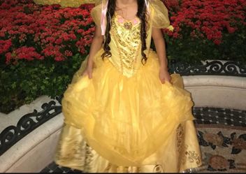 Disney princess dress