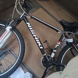Nishiki bike