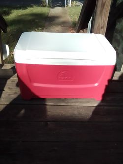 Igloo: 10 Gallon Ice Cooler In Great Cond. 