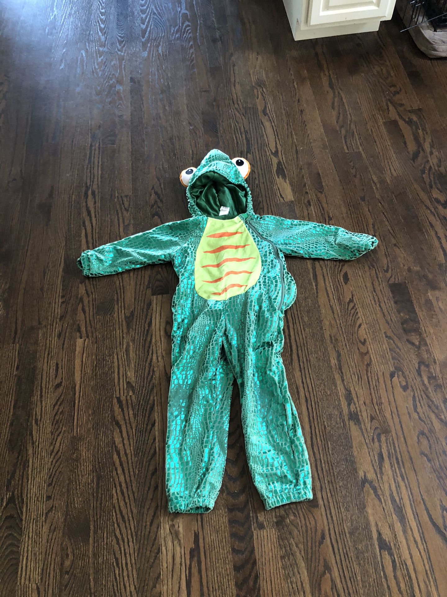 Dragon Costume 4-5 T