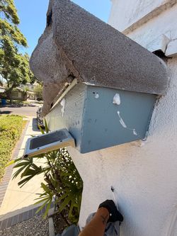 Termite inspection
