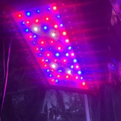 Tmlapy 1000 W Led Grow light