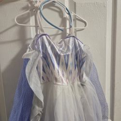Disney Frozen Elsa dress and accesorie, Size 3T/4T