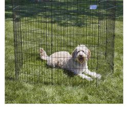 Dog Play Pen 