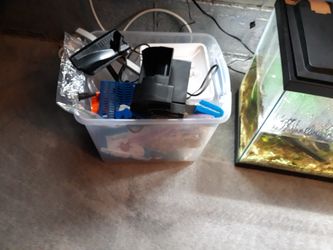 Fish tank