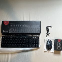 Gaming Keyboard And Mouse (Brand New)