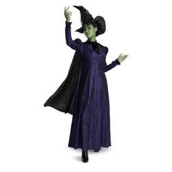 Elphaba Child costume