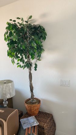 Ficus Tree (faux) indoor plant