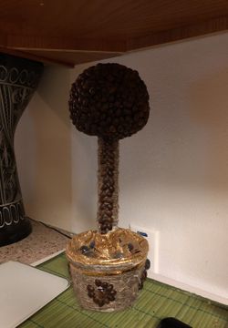 Tree koffee