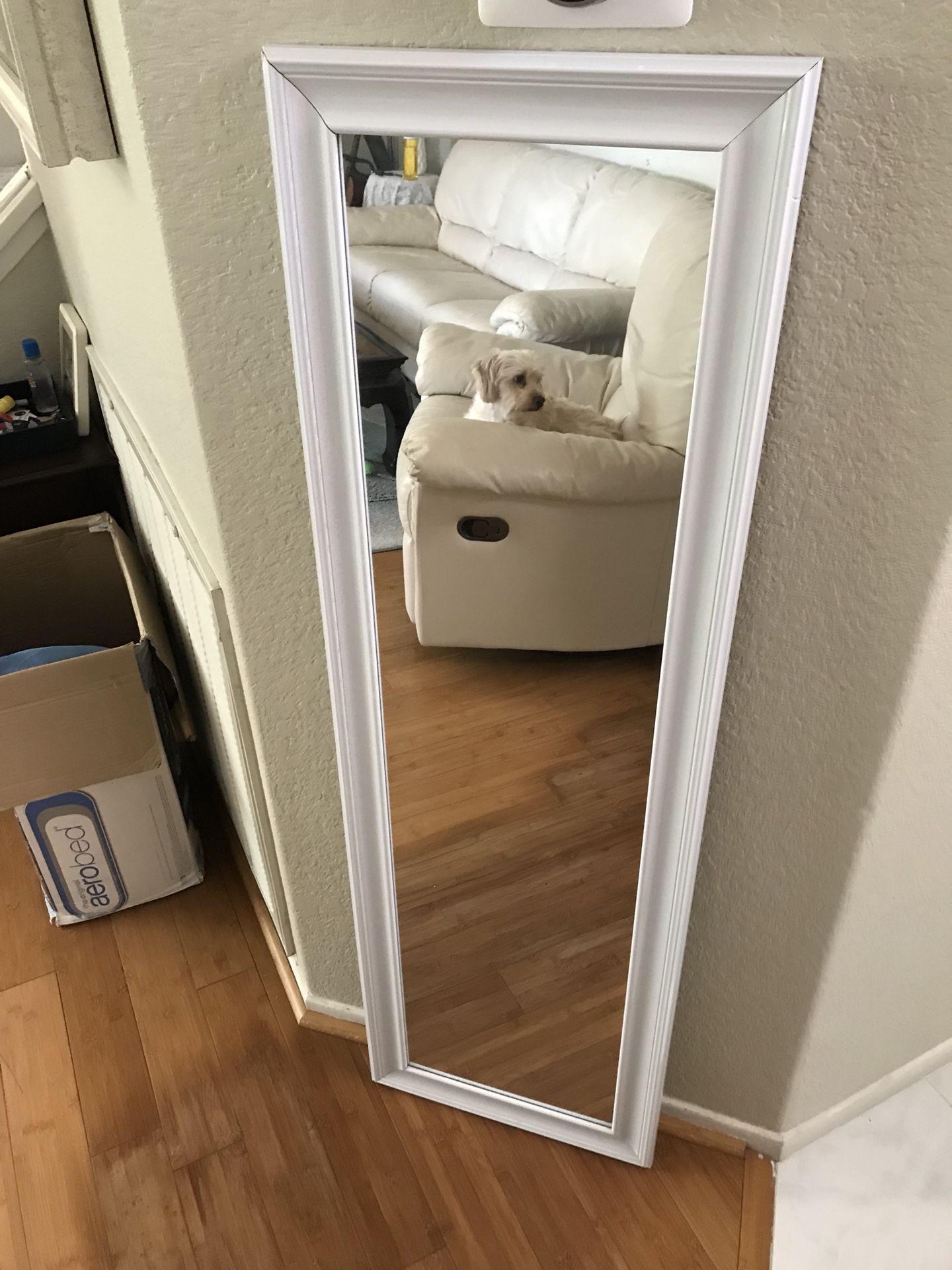 Framed door/wall mirror