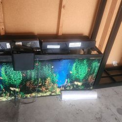 55 Gallon Fish Tank Accessories And Stand