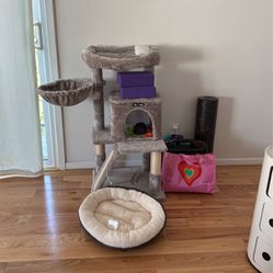 Cat Tree And Cat Bed 