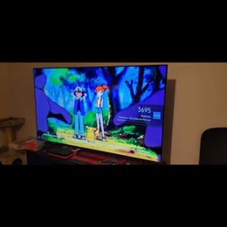 65” TV