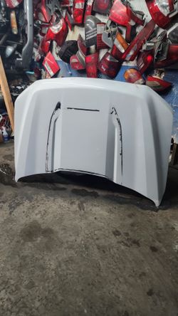 2021-2025 FORD F150 HOOD