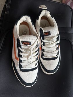 Vans Bucky Lasek sneakers