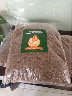 Dried Mealworms