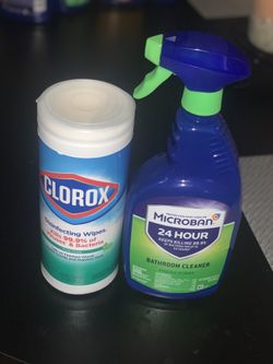 Disinfecting spray and wipes bundle