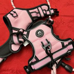 XL Dog Harness And Leash