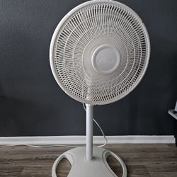 Floor Fan