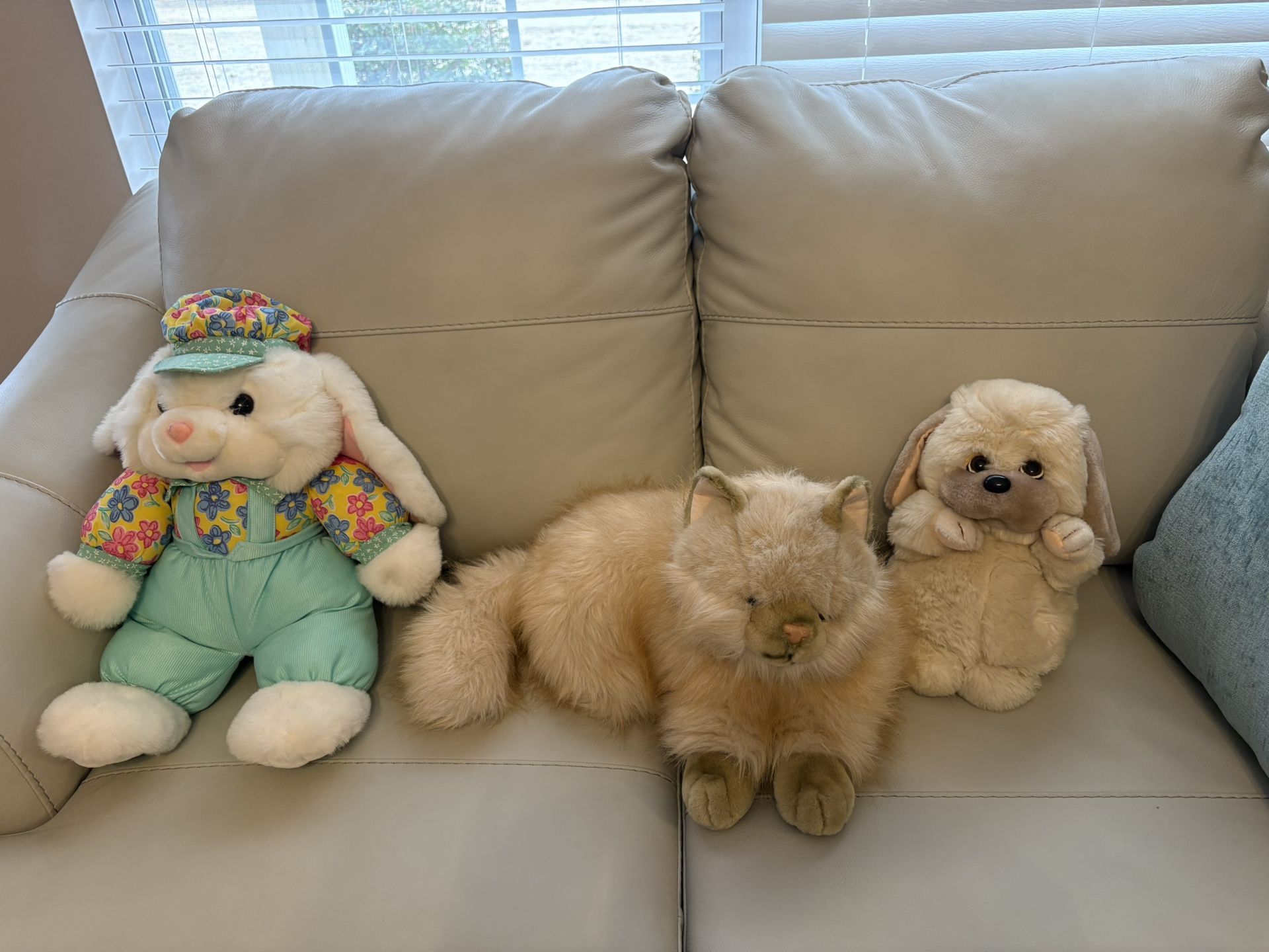 Stuffed Animals