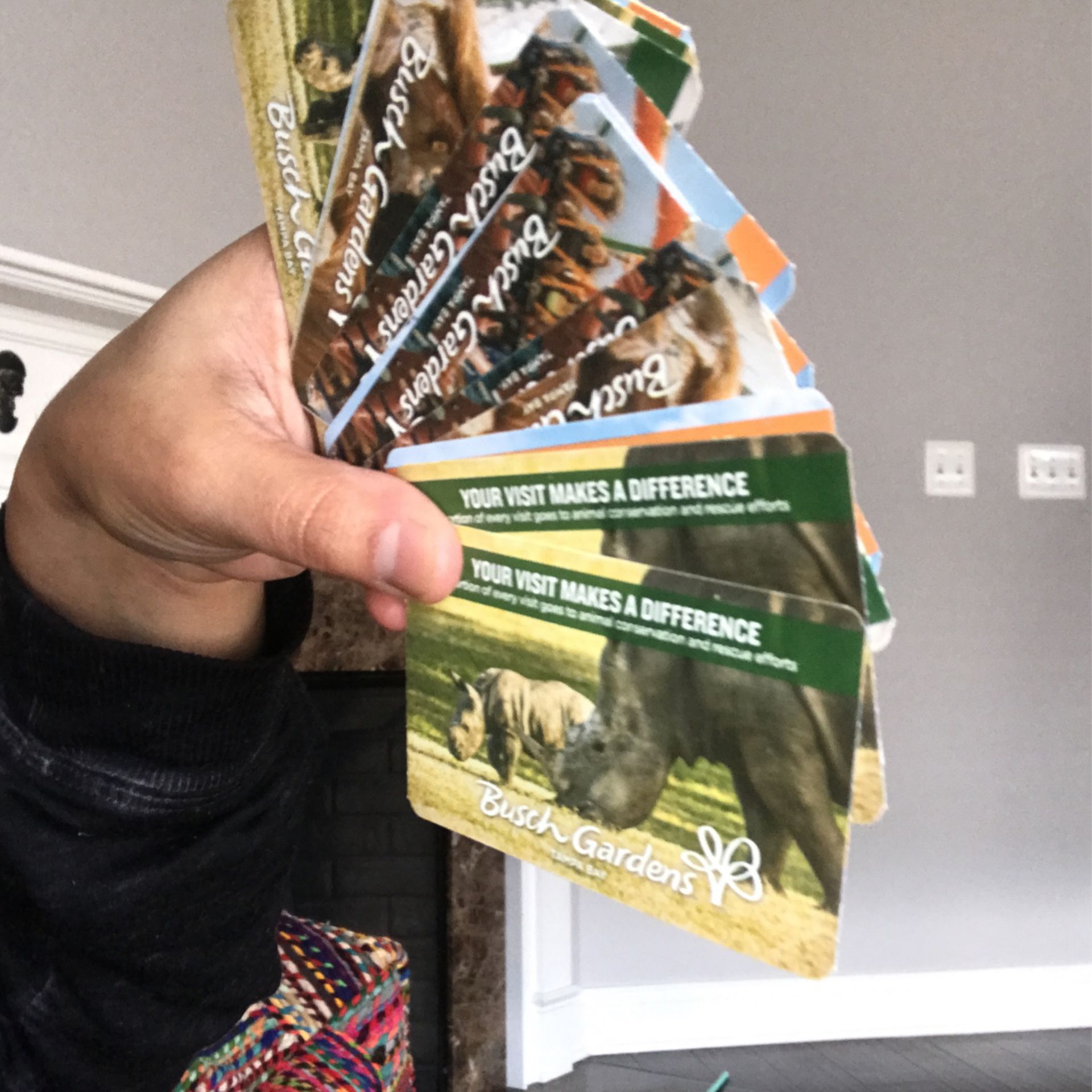 Busch garden Passes!!! 50% Off!!!!! Can Also Sell Them Individually !!! 