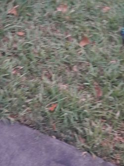 alguien que sepa deslaquiar un iphone 6 plus