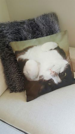 Kitten Cat Decorative Pillow Couch Bed Chair