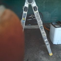 Gorilla Ladder