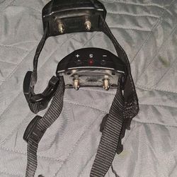 Shock Collar For Dogs 