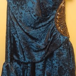 Beautiful Blue Brocade Dress New Never Worn 