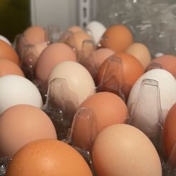 Farm Fresh Eqqs