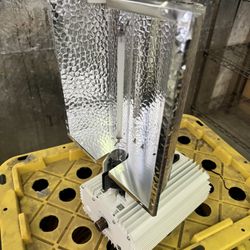 Gavita Grow Lights
