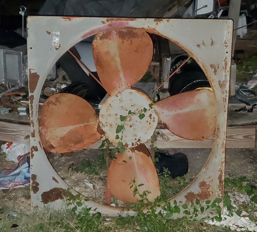 Shop Fan
