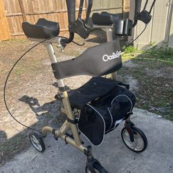 Walking Chair 