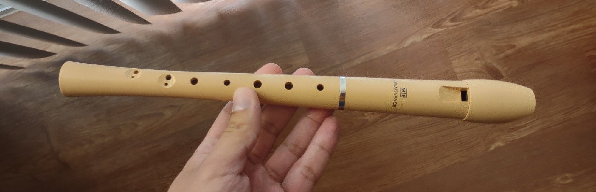 Mie renaissance recorder deals