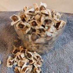 Moringa Seeds 200 
