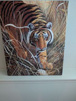 Crouching Tiger