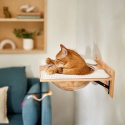 New Frisco Acrylic Bowl Wall Mounted Cat Shelf – Unused