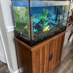 Fish  Tank 