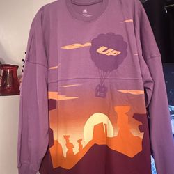 Disney Spirit Jersey 