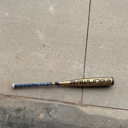 Rawlings Baseball Bat -10 