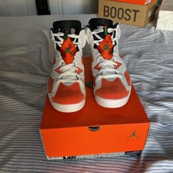Jordan Retro 6 Gatorade