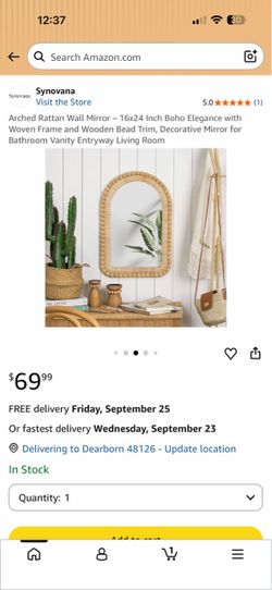 Synovana Arched Rattan Wall Mirror 16x24 Inch