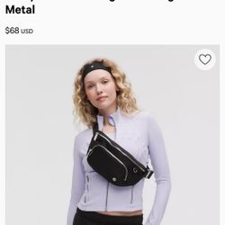 Brand New Everywhere Belt Bag Extra Large 4L Metal